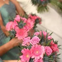 IMG_0146